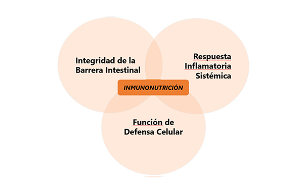 ImmunoWall®