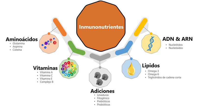 ImmunoWall®