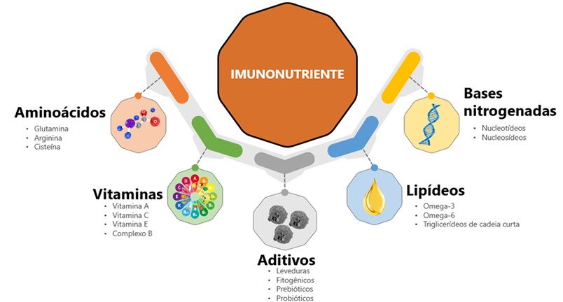 ImmunoWall®